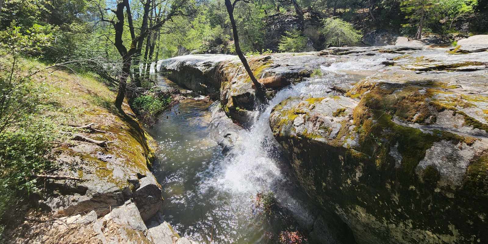 A creek spilling over mossy granite into a pool, with oak and pine trees under a clear blue sky